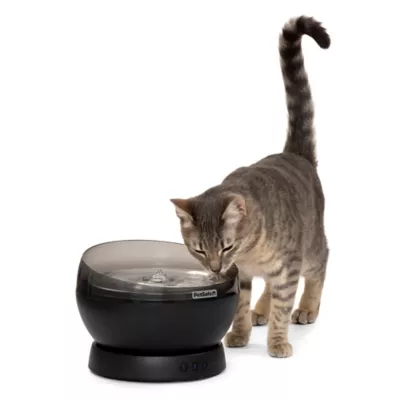 PetSafe® HydroSphere 60 oz Cordless Pet Fountain, Black, Rechargeable Battery, Filter Included - Image 1
