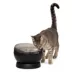 PetSafe® HydroSphere 60 oz Cordless Pet Fountain, Black, Rechargeable Battery, Filter Included image thumbnail 1