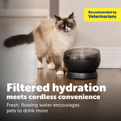 PetSafe® HydroSphere 60 oz Cordless Pet Fountain, Black, Rechargeable Battery, Filter Included - Image 2
