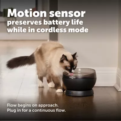 PetSafe® HydroSphere 60 oz Cordless Pet Fountain, Black, Rechargeable Battery, Filter Included - Image 5