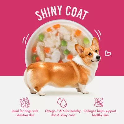 Health Extension Broth-Licious Adult Wet Dog Food Topper - Ocean Fish Recipe - Image 3