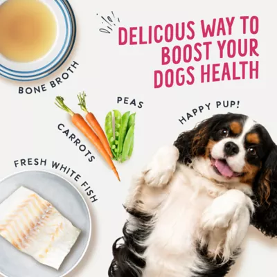 Health Extension Broth-Licious Adult Wet Dog Food Topper - Ocean Fish Recipe - Image 4