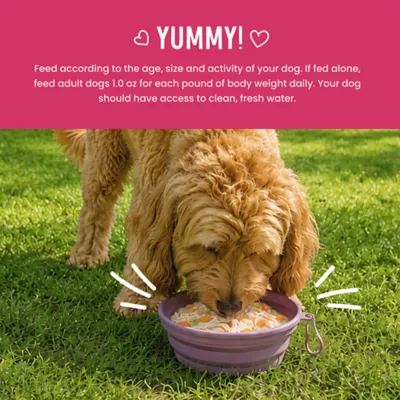 Health Extension Broth-Licious Adult Wet Dog Food Topper - Ocean Fish Recipe - Image 7
