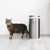 Ubbi Pet Waste Pail For Dogs & Cats, Locks in Odors,Compatible W/ Standard Kitchen Trash Bag image thumbnail 3