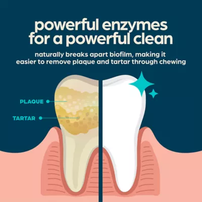 Chewsday Medium Dog Dental Treat - Enzyme Infused, Fresh Mint Flavor - Image 4