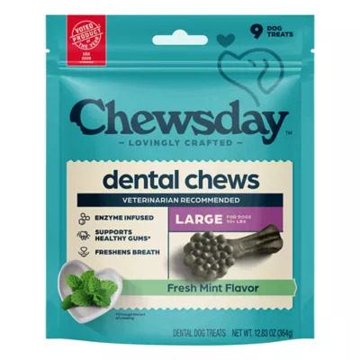 Chewsday Large Dog Dental Treat - Enzyme Infused, Fresh Mint Flavor - Image 1