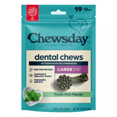 Chewsday Large Dog Dental Treat - Enzyme Infused, Fresh Mint Flavor - Image 1