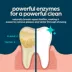 Chewsday Small Dog Dental Treat - Enzyme Infused, Fresh Mint Flavor image thumbnail 4