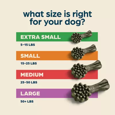 Chewsday Small Dog Dental Treat - Enzyme Infused, Fresh Mint Flavor - Image 5