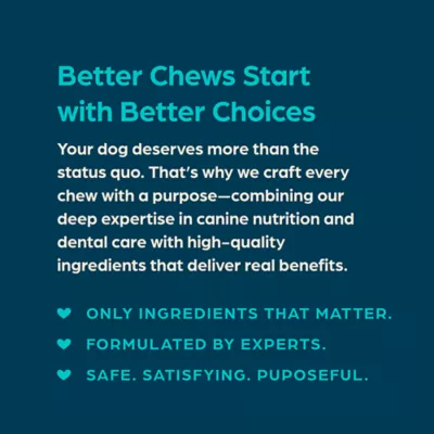 Chewsday Small Dog Dental Treat - Enzyme Infused, Fresh Mint Flavor - Image 6