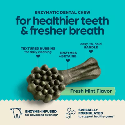 Chewsday Extra Small Dog Dental Treat - Enzyme Infused, Fresh Mint Flavor - Image 3