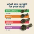 Chewsday Extra Small Dog Dental Treat - Enzyme Infused, Fresh Mint Flavor image thumbnail 5
