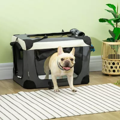 PawHut 24" Foldable Pet Carrier with Removable Mat, Breathable Mesh, Soft Side Pet Travel Carrier - Image 2