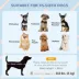 PawHut Indoor/Outdoor Dog House w/ Vents - For Small Dogs image thumbnail 4