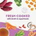 Health Extension Gently Cooked Grain Free Wet Dog Food - Vegetarian Recipe image thumbnail 2