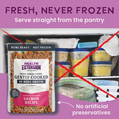 Health Extension Gently Cooked Grain Free Wet Dog Food - Salmon Recipe - Image 3