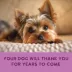 Health Extension Gently Cooked Grain Free Wet Dog Food - Salmon Recipe image thumbnail 6