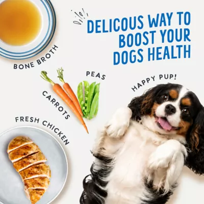 Health Extension Broth-Licious Adult Wet Dog Food Topper - Chicken & Carrot Recipe - Image 4