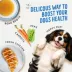 Health Extension Broth-Licious Adult Wet Dog Food Topper - Chicken & Carrot Recipe image thumbnail 4
