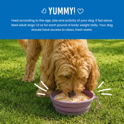 Health Extension Broth-Licious Adult Wet Dog Food Topper - Chicken & Carrot Recipe - Image 7