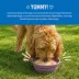 Health Extension Broth-Licious Adult Wet Dog Food Topper - Chicken & Carrot Recipe image thumbnail 7