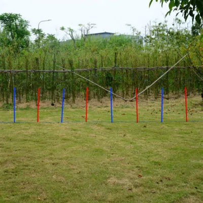 PawHut Dog Agility Pole Set, Portable Dog Agility training equipment for Outdoor Play - Red & Blue - Image 2