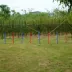 PawHut Dog Agility Pole Set, Portable Dog Agility training equipment for Outdoor Play - Red & Blue image thumbnail 2