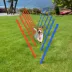 PawHut Dog Agility Pole Set, Portable Dog Agility training equipment for Outdoor Play - Red & Blue image thumbnail 7