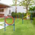 PawHut Dog Agility Training Kit - High Jump, Weave Pole, Ring image thumbnail 2