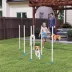 PawHut Adjustable Dog Agility Training Obstacle Set with Weaves Poles and Storage Bag image thumbnail 2