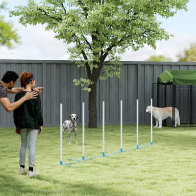 PawHut Adjustable Dog Agility Training Obstacle Set with Weaves Poles and Storage Bag - Image 7