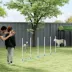 PawHut Adjustable Dog Agility Training Obstacle Set with Weaves Poles and Storage Bag image thumbnail 7