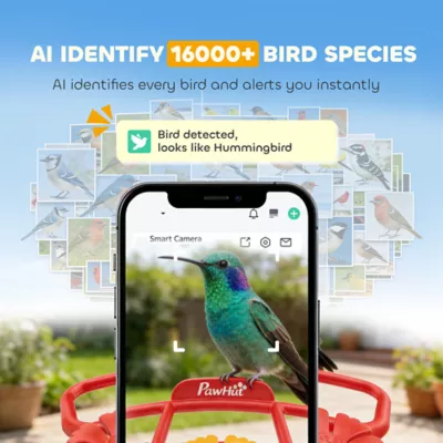 PawHut Smart Hummingbird Feeder with Camera, AI Identifier of 16,000 birds, 2K HD Video, 3W Solar - Image 4