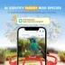 PawHut Smart Hummingbird Feeder with Camera, AI Identifier of 16,000 birds, 2K HD Video, 3W Solar image thumbnail 4