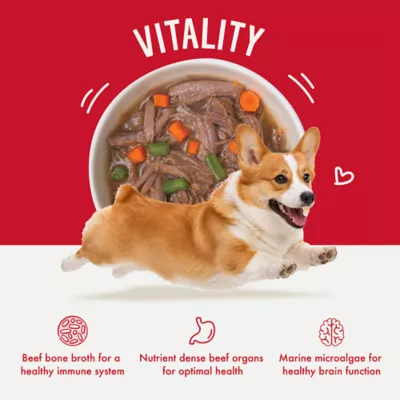 Health Extension Broth-Licious Adult Wet Dog Food Topper - Beef & Green Bean Recipe - Image 3