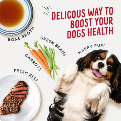 Health Extension Broth-Licious Adult Wet Dog Food Topper - Beef & Green Bean Recipe - Image 4
