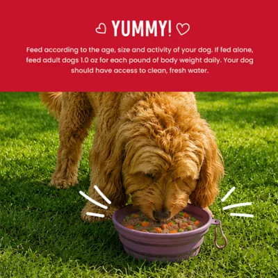 Health Extension Broth-Licious Adult Wet Dog Food Topper - Beef & Green Bean Recipe - Image 7