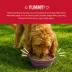 Health Extension Broth-Licious Adult Wet Dog Food Topper - Beef & Green Bean Recipe image thumbnail 7