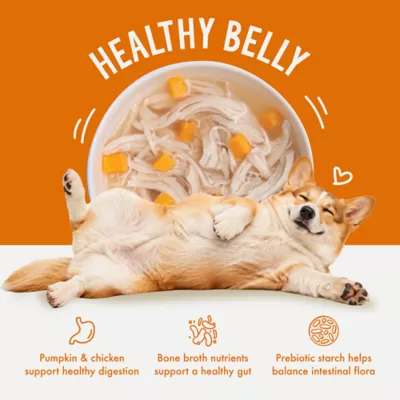 Health Extension Broth-Licious Adult Wet Dog Food Topper - Chicken & Pumpkin Recipe - Image 3