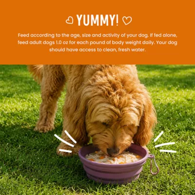 Health Extension Broth-Licious Adult Wet Dog Food Topper - Chicken & Pumpkin Recipe - Image 7