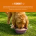 Health Extension Broth-Licious Adult Wet Dog Food Topper - Chicken & Pumpkin Recipe image thumbnail 7
