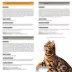 Nulo Prowess All in One Essentials Wet Cat Food - Pate & Shreds, 12 count, Variety Pack image thumbnail 4