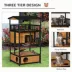 PawHut 4-Floor Wood Outdoor Cat House Catio with Condo, Fun Entrances, Perch image thumbnail 4