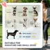 PawHut 3 Wheels Foldable Dog Stroller with Storage Basket, Adjustable Canopy, Cupholder - Small Dogs image thumbnail 4