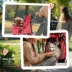PawHut 3 Wheels Foldable Dog Stroller with Storage Basket, Adjustable Canopy, Cupholder - Small Dogs image thumbnail 7