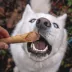 Rollover Wheat Free Salmon Stuffed California Wraps Dog Treats 4pk image thumbnail 3