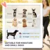 PawHut Pet Stroller - Foldable Dog Stroller with Wheels, Reflective Strips, Brake, Pad and Basket image thumbnail 4