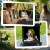 PawHut Foldable Pet Stroller with Universal Front Wheels, Shock Absorber, for Dogs up to 66lbs image thumbnail 7
