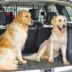 PawHut Car Barrier for SUV, Adjustable Car Divider for Trunk Cargo Area, Wire Barrier image thumbnail 2