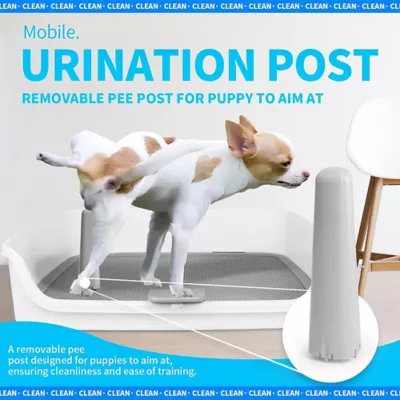 All For Paws Dog Pee Pad Holder W/ Removable Pee Post, High-Sided Walls, & Secure Clamp - Image 2